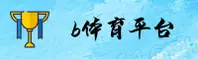 B体育(BTIYU)官方网站 · 极致体验 · P9Q3